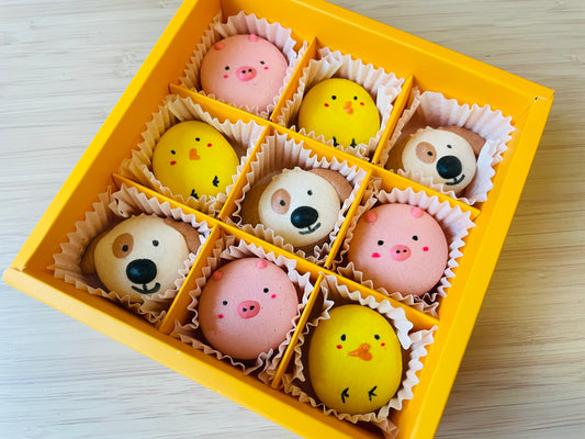 Character Macarons in Box of 9